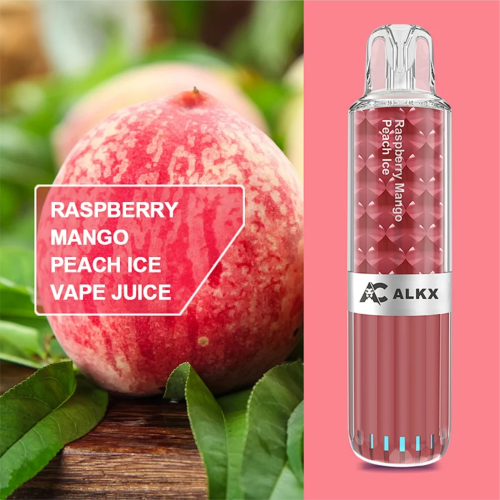 ALKX X017 8000 Puffs Various Flavors Vape Disposable Type-c Rechargeable E-cigarettes