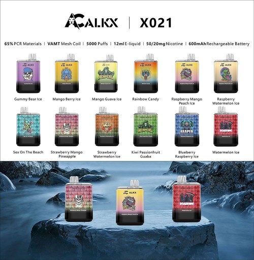 ALKX X021 5000 Puffs 12ml Liquid Vape 550mAh Type-c Rechargeable E-cig Atomizer