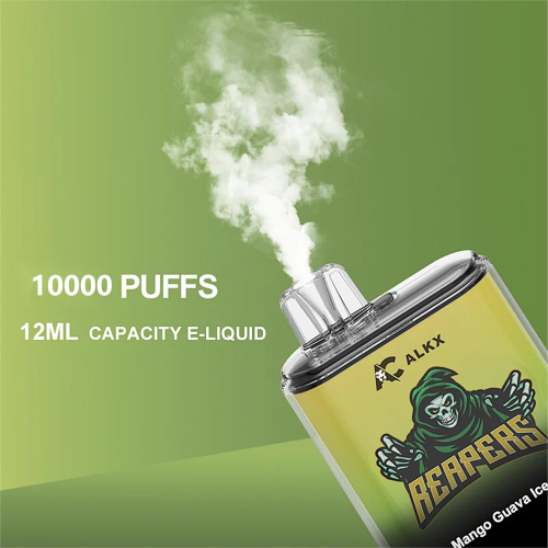 ALKX X021 5000 Puffs 12ml Liquid Vape 550mAh Type-c Rechargeable E-cig Atomizer